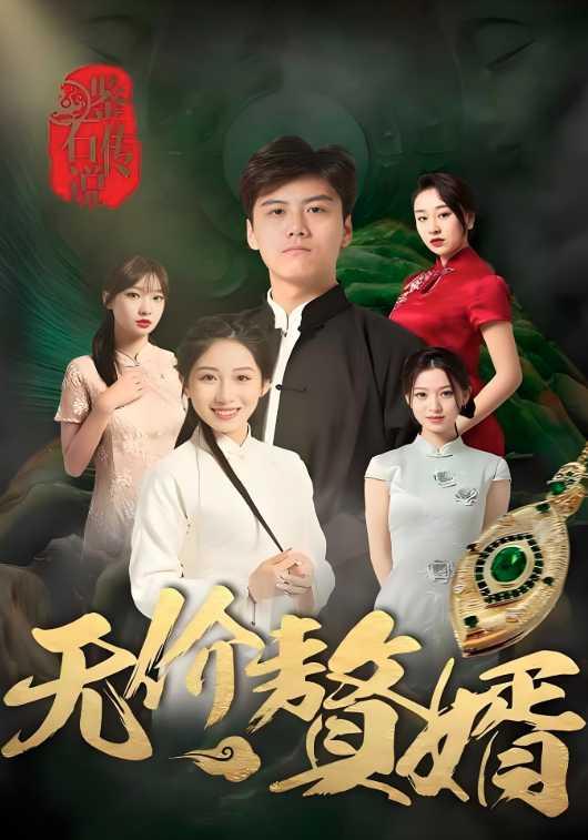 鉴石传说之无价赘婿