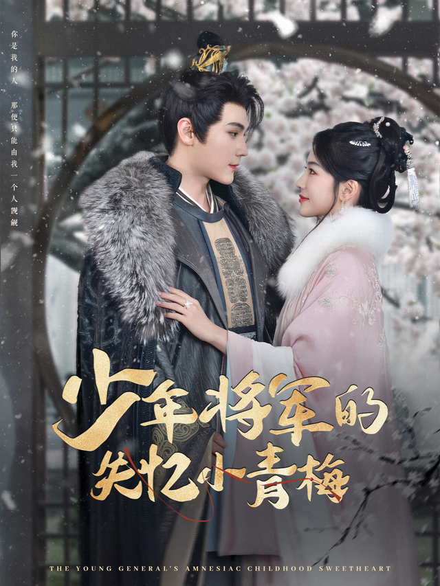 少年将军的失忆小青梅