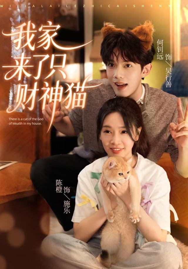 我家来了只财神猫