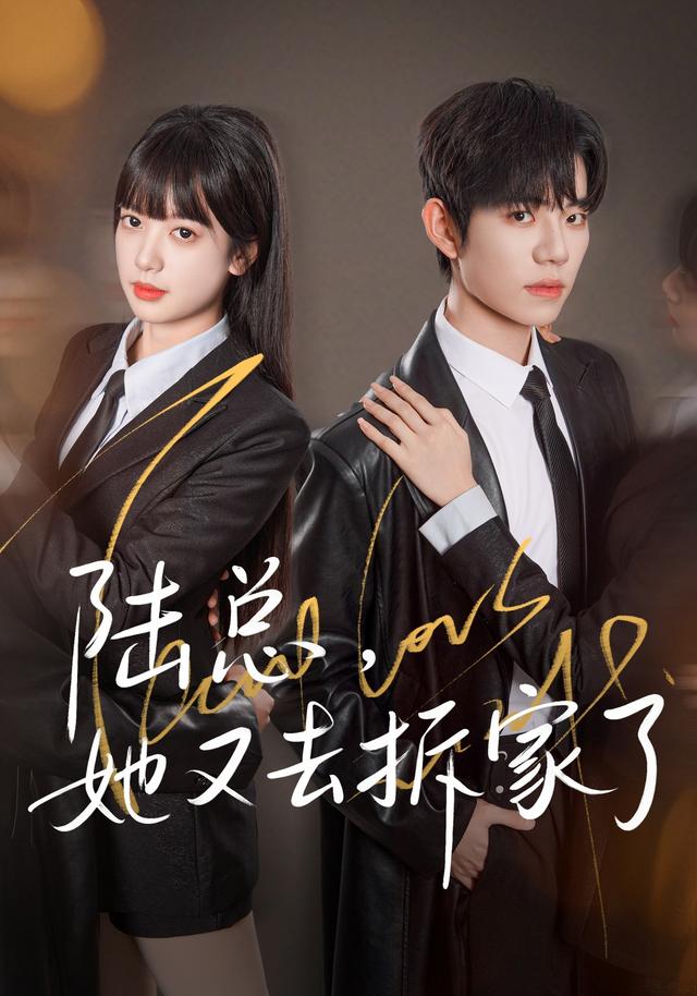 陆总，她又去拆家了