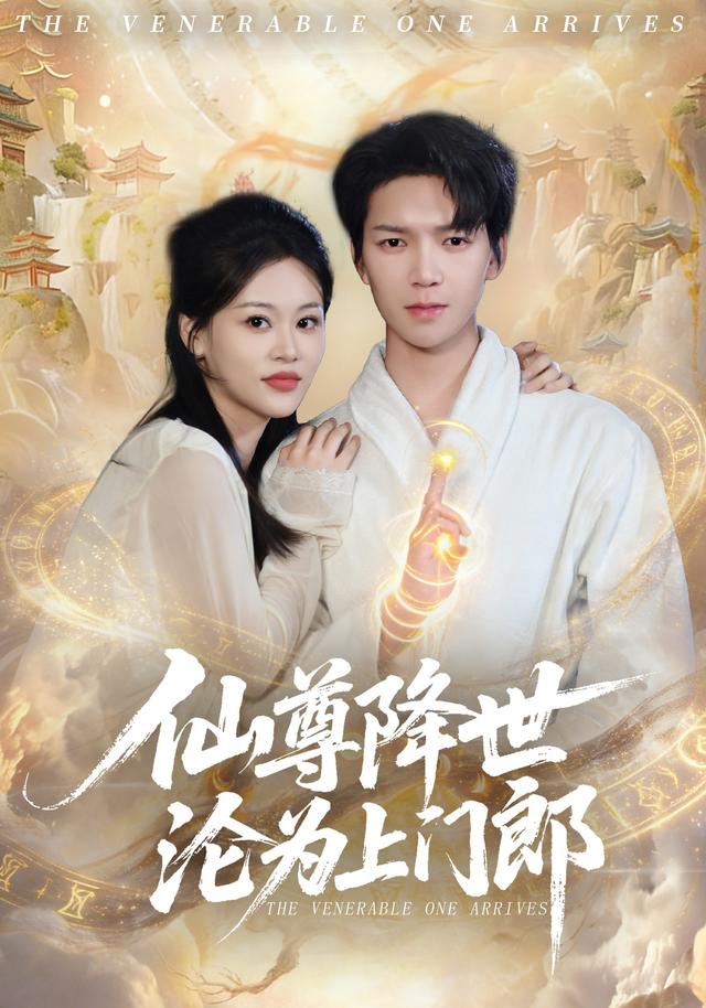 仙尊降世沦为上门郎