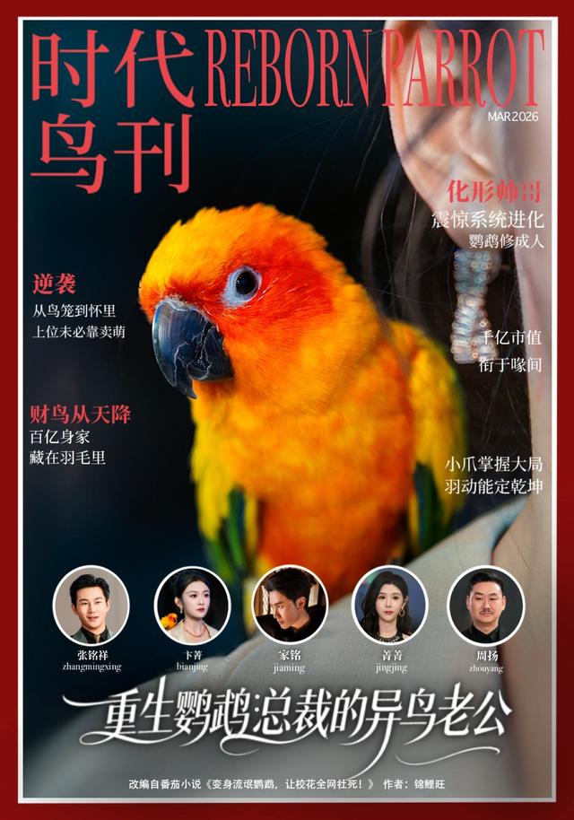 重生鹦鹉：总裁的异鸟老公