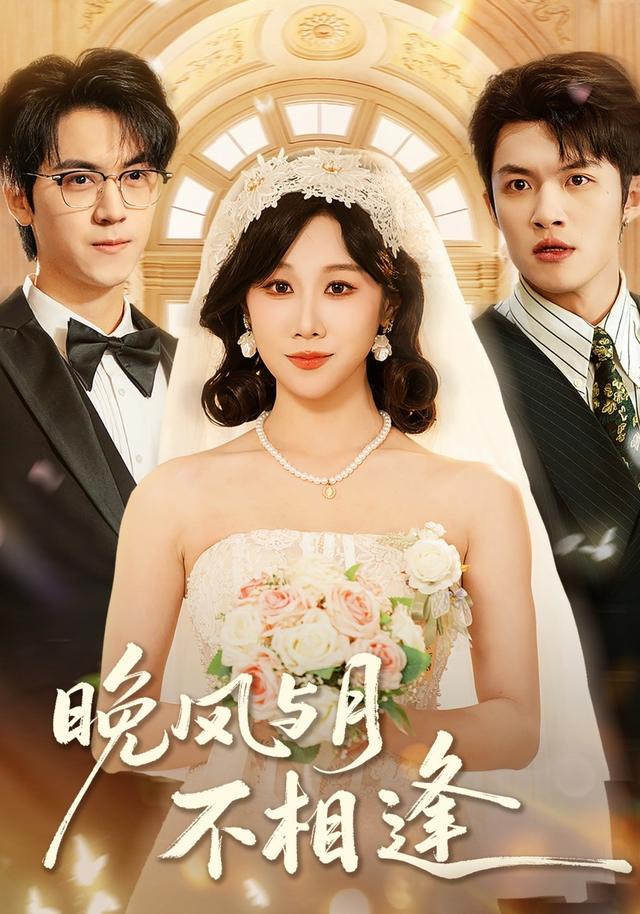 晚风与月不相逢