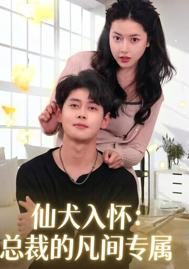 仙犬入怀，总裁的凡间专属