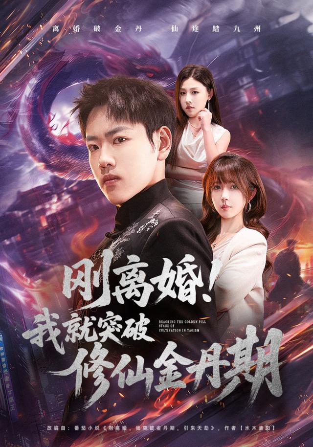 刚离婚！我就突破修仙金丹期