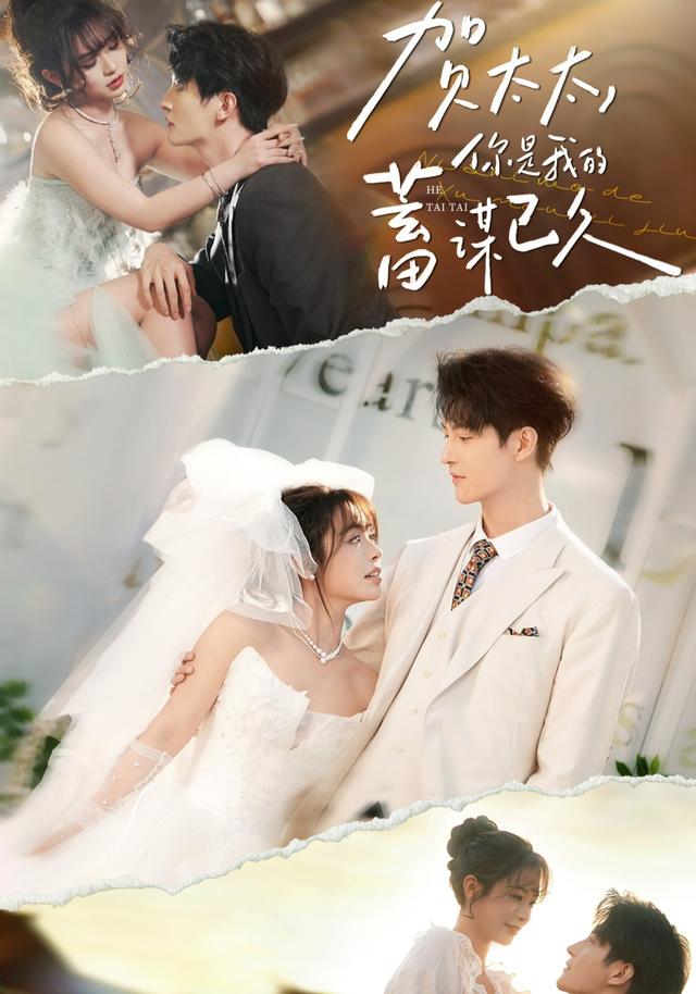 贺太太，你是我的蓄谋已久