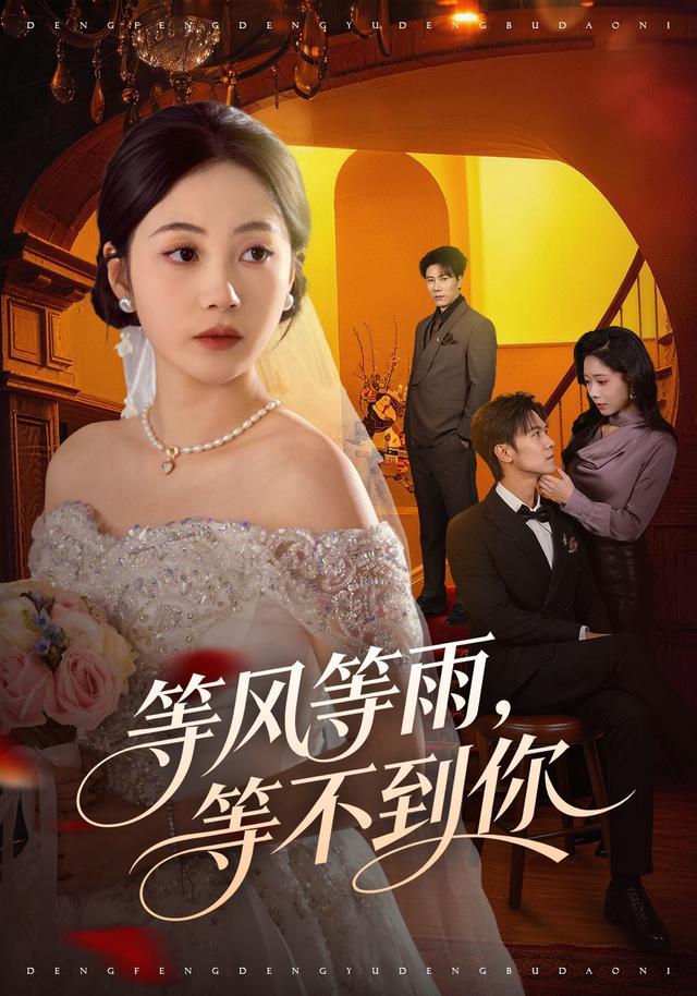等风等雨，等不到你