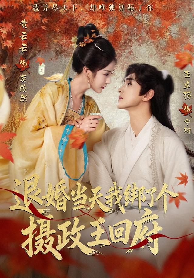 退婚当天我绑了个摄政王回府