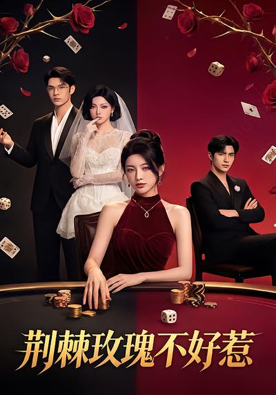 荆棘玫瑰不好惹