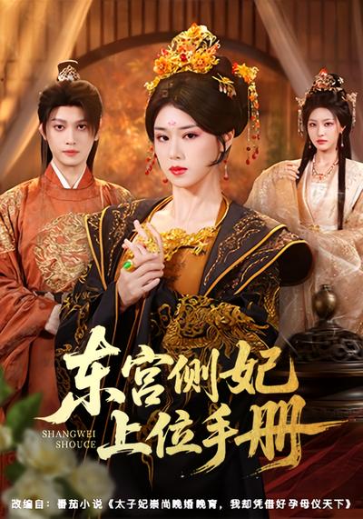 东宫侧妃上位手册