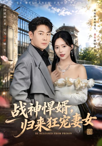 战神悍婿，归来狂宠妻女
